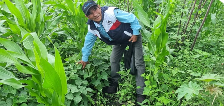 Muy pronto la tecnología sobrevolará Tierras del Padre